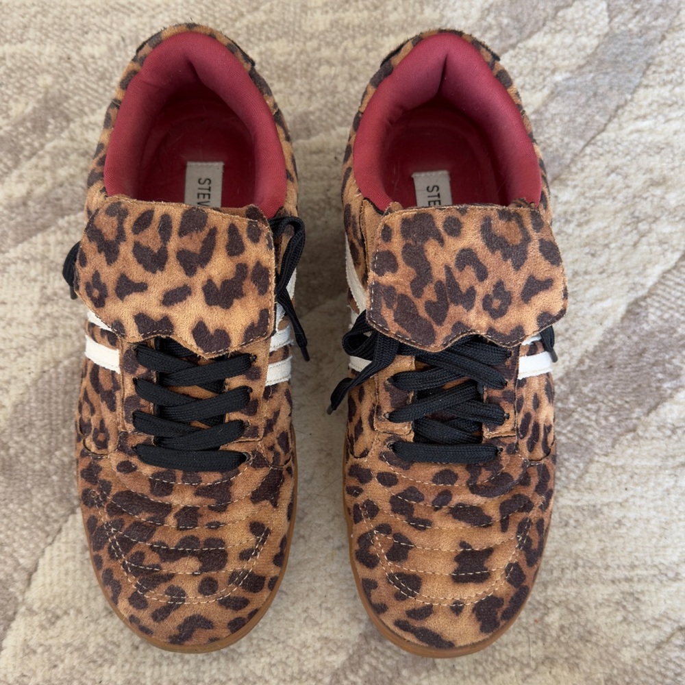 Steve Madden Madrid shoes 7